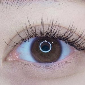 Classic lash